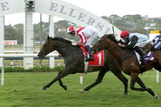 Formidable stepped up to stakes level with a win in Sunday’s $50,000 Listed Auckland Age Concerns 3YO Salver. Photo: Trish Dunell